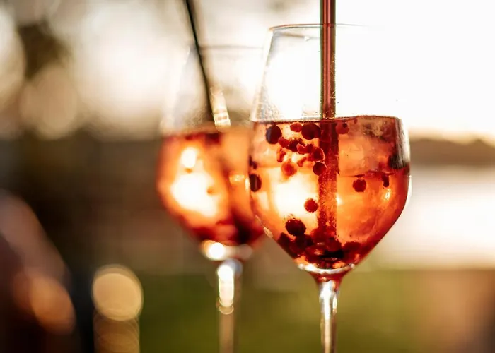 شقة فندقية Diehls - Design-apartments كوبلنس